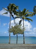 Beach in Noumea  New Caledonia  Melanesia  South Pacific  Pacific