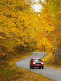 Millinocket to Baxter State Park Road  Maine  New England  United States of America  North America