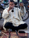 Snake Charmer  Place Jemaa el Fna  Marrakesh  Morocco  North Africa  Africa