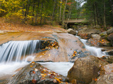 Franconia Notch State Park  New Hampshire  New England  United States of America  North America