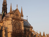 Rose Window on South Facade  Notre Dame Cathedral  Paris  France  Europe