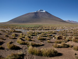 Salar Uyuni Salt Flats  Eduardo Avaroa National Park  Bolivia  South America