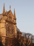 Rose Window on South Facade  Notre Dame Cathedral  Paris  France  Europe