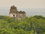 Tikal National Park (Parque Nacional Tikal)  UNESCO World Heritage Site  Guatemala  Central America