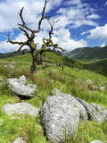 Woundale  Lake District National Park  Cumbria  England  United Kingdom  Europe