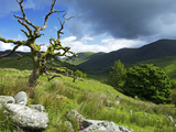 Woundale  Lake District National Park  Cumbria  England  United Kingdom  Europe