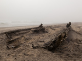 Shipwreck  Skeleton Coast National Park  Namibia  Africa