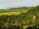 Rainforest and Fields  Senaru  Lombok  Indonesia  Southeast Asia  Asia