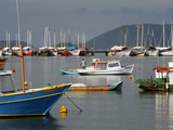 Colorful Fishing Boats in the Harbour  Parati  Rio de Janeiro State  Brazil  South America