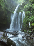 Air Terjun Tiu Kelep Waterfall  Senaru  Lombok  Indonesia  Southeast Asia  Asia