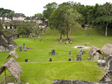 Tikal National Park (Parque Nacional Tikal)  UNESCO World Heritage Site  Guatemala  Central America