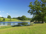 Esthwaite Water  Lake District National Park  Cumbria  England  United Kingdom  Europe