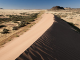 Sand Dune  Huab River Valley  Torra Conservancy  Damaraland  Namibia  Africa