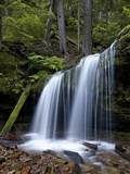 Fern Falls  Coeur D'Alene National Forest  Idaho Panhandle National Forests  Idaho  USA