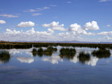 Lake Titicaca  Peru  Peruviann  Latin America  Latin American South America