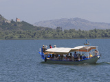 Boat on Skadar Lake  Montenegro  Europe