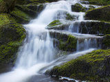 Waterfall  Glen Artney  Near Crieff  Perthshire  Scotland  United Kingdom  Europe