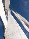 Star Clipper Sailing Cruise Ship  Deshaies  Basse-Terre  Guadeloupe  West Indies  French Caribbean