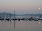 Boats Reflect on Puget Sound Waters of Quartermaster  Burton Marina  Vashon Island  Washington  USA