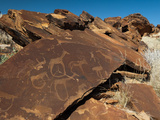 Rock Engravings  Huab River Valley  Torra Conservancy  Damaraland  Namibia  Africa