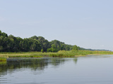 Everglades  UNESCO World Heritage Site  Florida  United States of America  North America