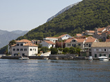 Houses on the Edge of the Bay of Kotor  Montenegro  Europe