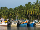 Fishing Boats Along the Backwaters  Near Alappuzha (Alleppey)  Kerala  India  Asia