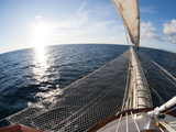Star Clipper Sailing Cruise Ship  Deshaies  Basse-Terre  Guadeloupe  West Indies  French Caribbean