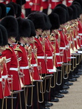 Soldiers at Trooping Colour 2012  Queen's Birthday Parade  Horse Guards  Whitehall  London  England