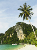 Ton Sai Bay  Ko Phi Phi  Krabi Province  Thailand  Southeast Asia  Asia