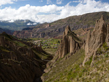 Valley of the Animals  Rock Formations on the Outskirts of La Paz City  La Paz  Bolivia