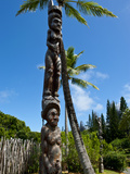 Tjibaou Cultural Center in Noumea  New Caledonia  Melanesia  South Pacific  Pacific