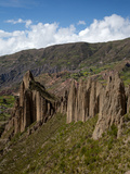 Valley of the Animals  Rock Formations on the Outskirts of La Paz City  La Paz  Bolivia