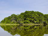 Everglades  UNESCO World Heritage Site  Florida  United States of America  North America