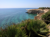 Coast Near Cassibile  Siracusa Province  Sicily  Italy  Mediterranean  Europe