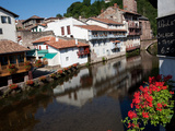River and Flowers  St Jean Pied de Port  France  Europe
