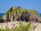 St Catherines Island  Tenby  Pembrokeshire  Wales  United Kingdom  Europe