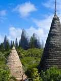 Tjibaou Cultural Center in Noumea  New Caledonia  Melanesia  South Pacific  Pacific