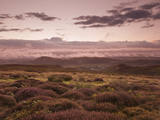 Dawn Above the Clouds on the Long Mynd Near Church Stretton  Shropshire  England  UK  Europe