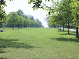 Kensington Gardens  London  England  United Kingdom  Europe