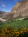 Valley of the Animals  Rock Formations on the Outskirts of La Paz City  La Paz  Bolivia