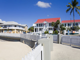 Stores on Harbour Drive  George Town  Grand Cayman  Cayman Islands  Greater Antilles  West Indies