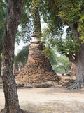 Stupa at Wat Phra Si Sanphet  Ayutthaya City  UNESCO World Heritage Site  Thailand