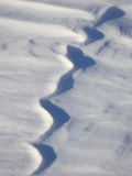 Snow Forms  Bosque del Apache National Wildlife Refuge  New Mexico  USA  North America