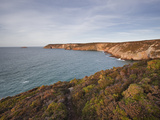 The Coastline of Brittany on Cap Frehel  Cote D'Emeraude (Emerald Coast)  Brittany  France  Europe