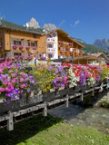 Bridge and Flowers  Pozza di Fassa  Fassa Valley  Trentino-Alto Adige/South Tyrol  Italy