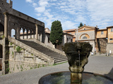 Fountain and Terrace of the Pope's Palace in Viterbo  Lazio  Italy  Europe