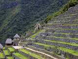 Agricultural Terraces   Machu Picchu  Peru  Lost City of Inca Rediscovered by Hiram Bingham in 1911