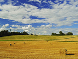 Rural Scene  Villingen-Schwenningen  Black Forest  Schwarzwald-Baar  Baden-Wurttemberg  Germany