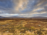Dawn over Open Expanse of Rannoch Moor  Near Glencoe  Scottish Highlands  Scotland